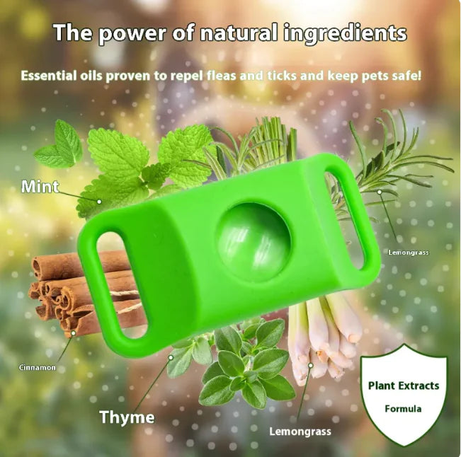 EcoGuard Natural Flea Collar